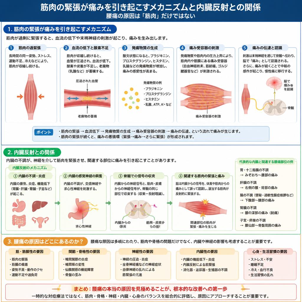 筋肉の緊張と痛みの関連