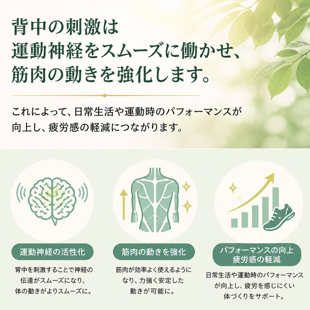 運動神経の活性化