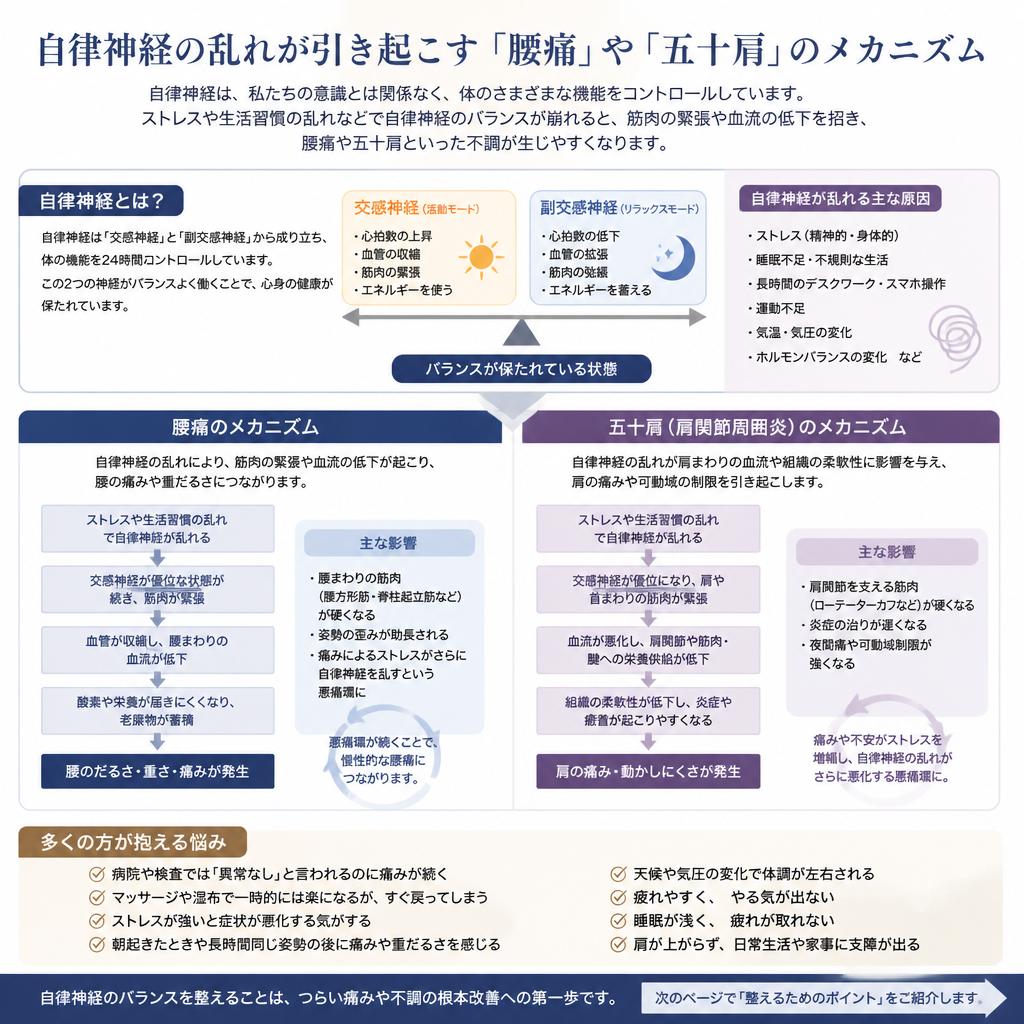自律神経の乱れが引き起こす身体の不調